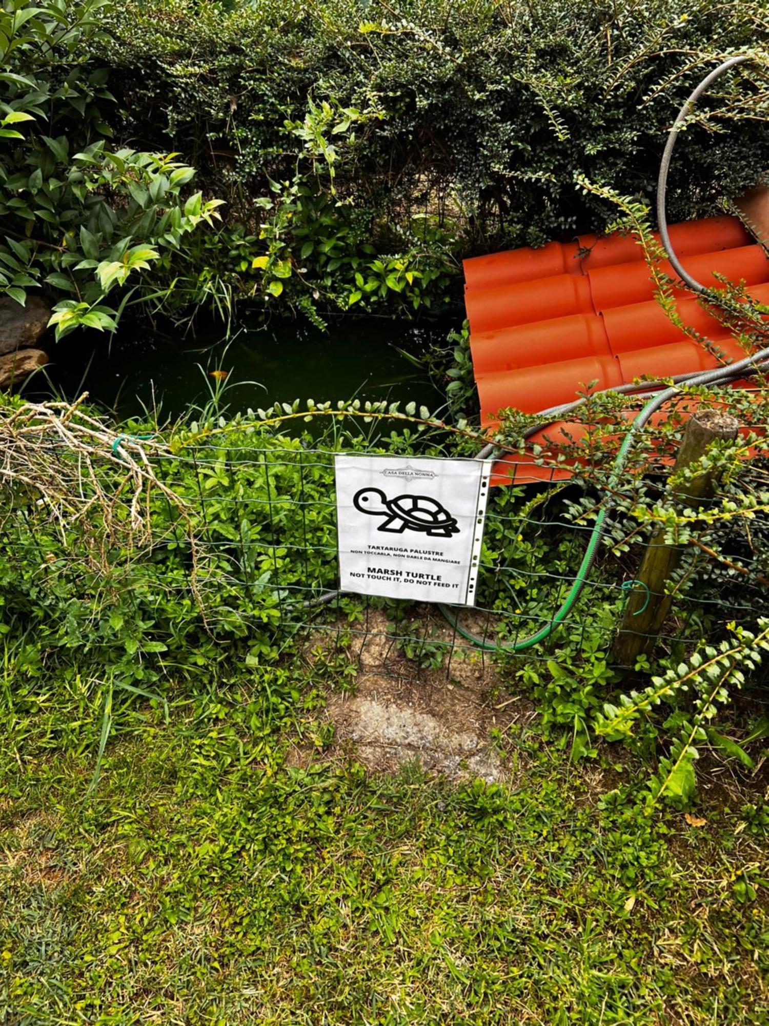 Appartamento Casa Della Nonna Noventa di Piave Luaran gambar