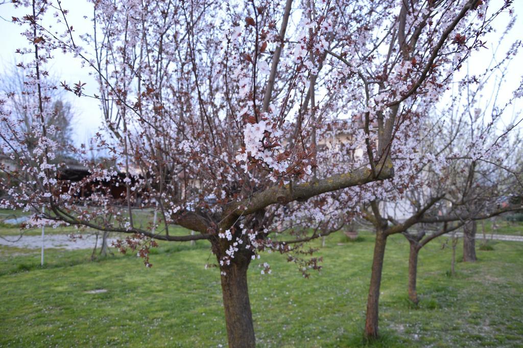 Appartamento Casa Della Nonna Noventa di Piave Luaran gambar